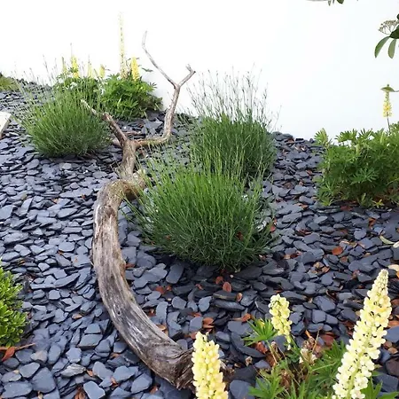 Bed & Breakfast Le 16, Vos D'hotes Avec Terrasses Privees